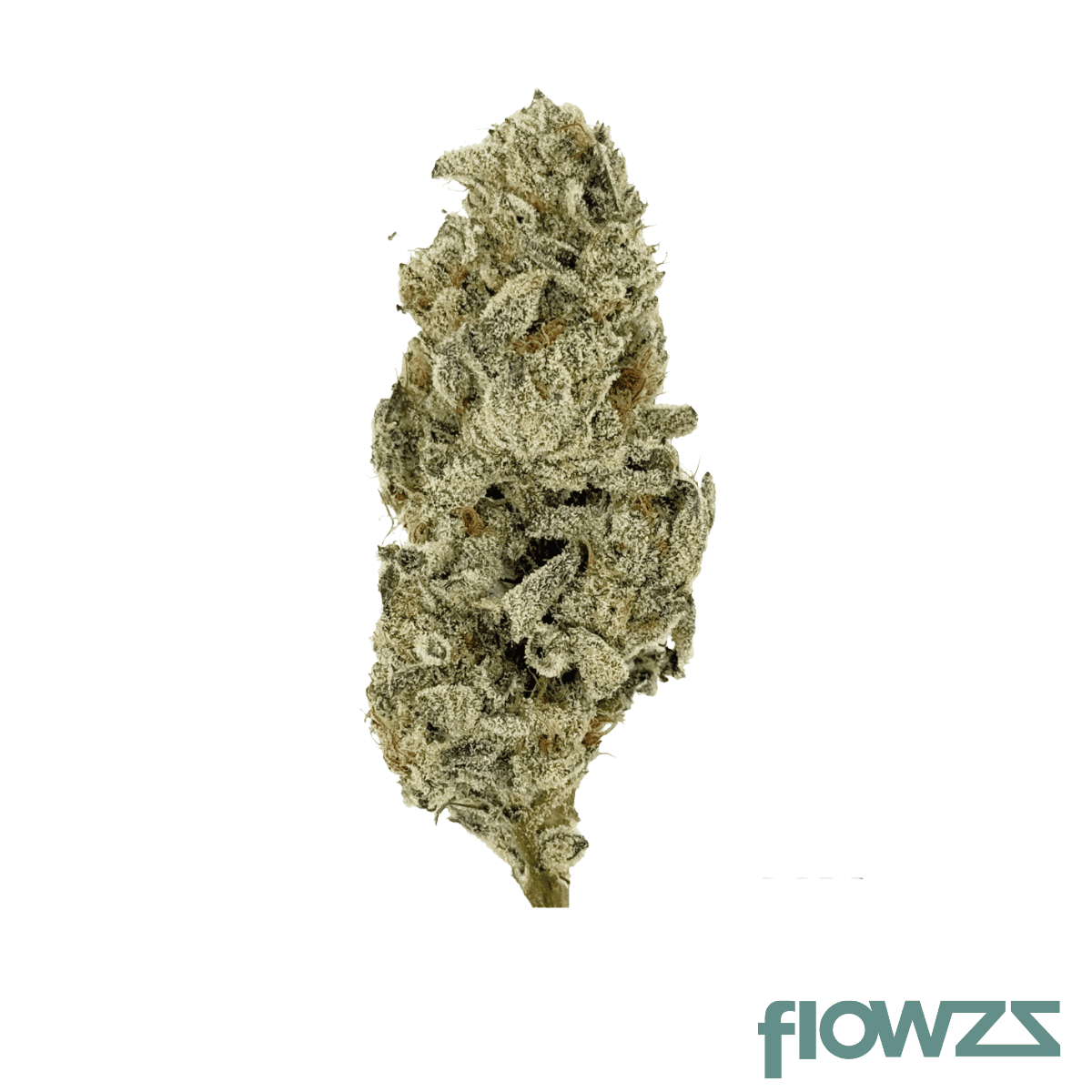 nice-30-1-wcr-wedding-crasher