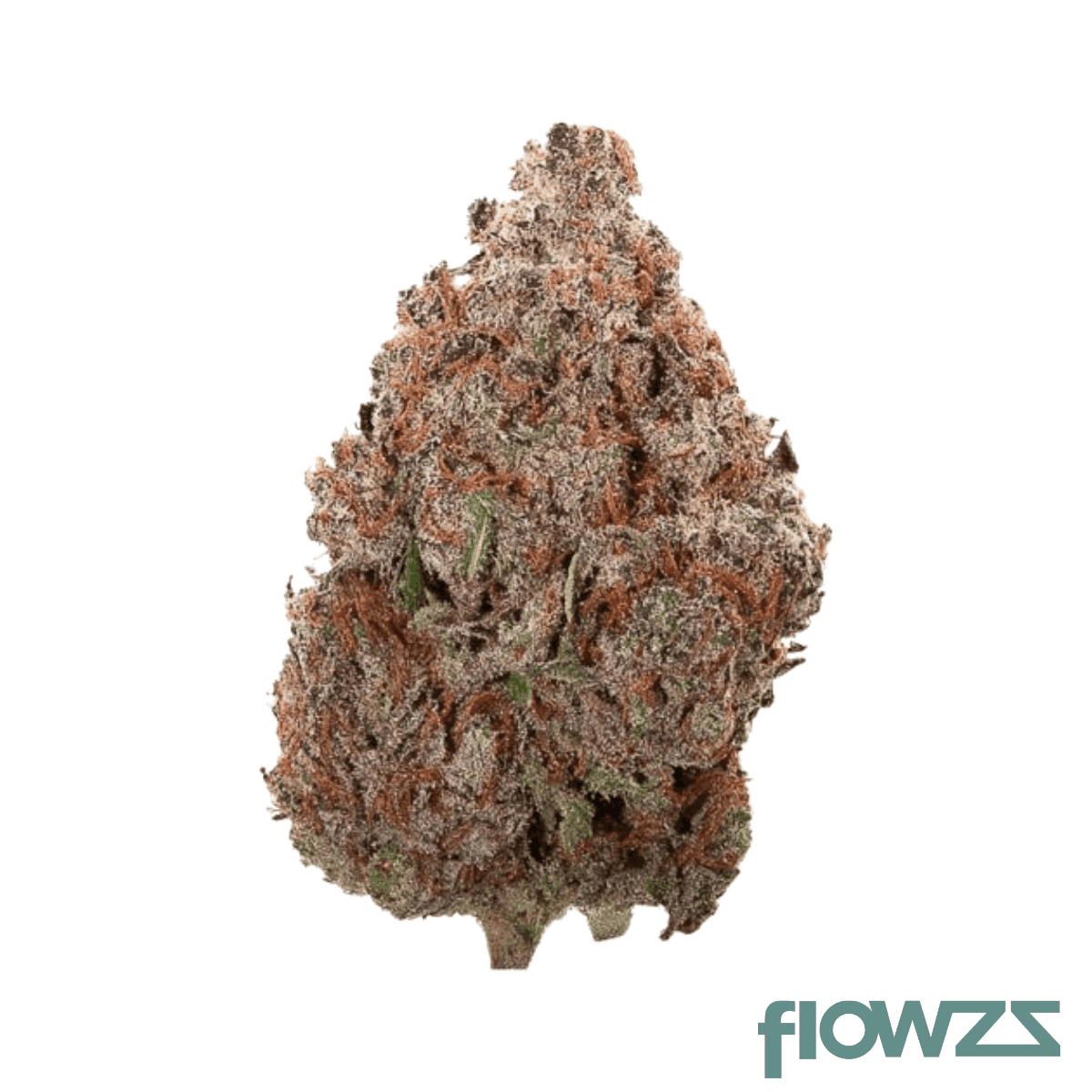 upstate-27-1-kf-kings-fool