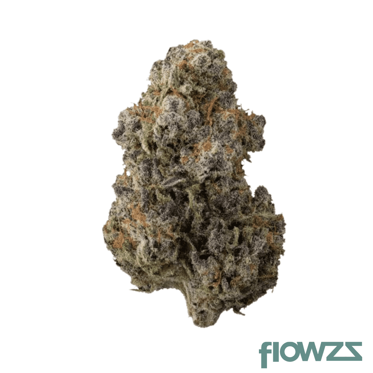 zoiks-22-1-mn-moonlight-nectar