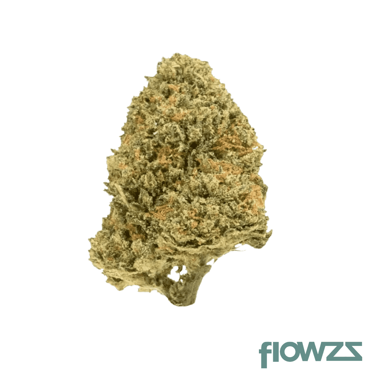 social-choice-21-1-flx-efa-el-faro