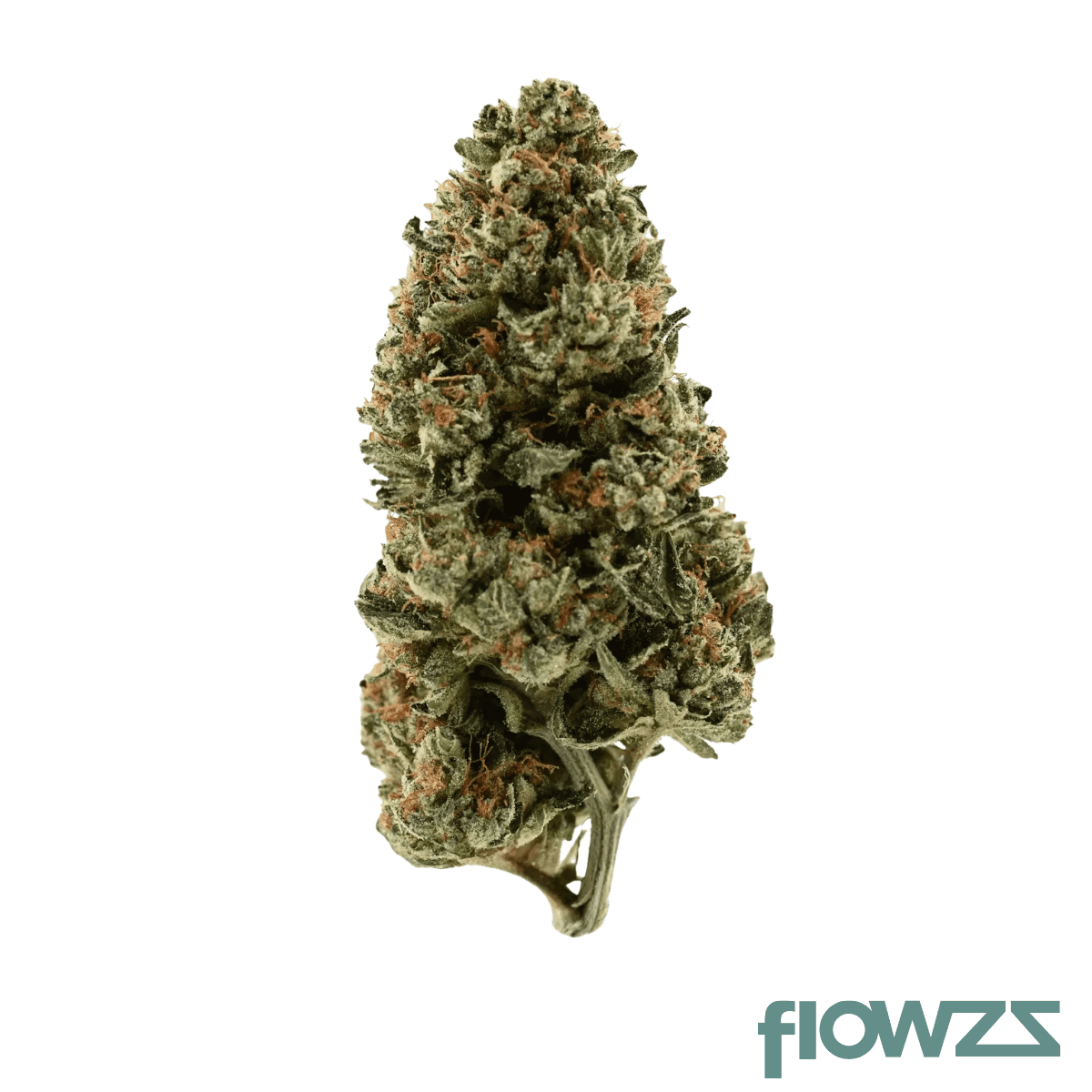 remexian-24-1-irc-oco-orange-cream-octane