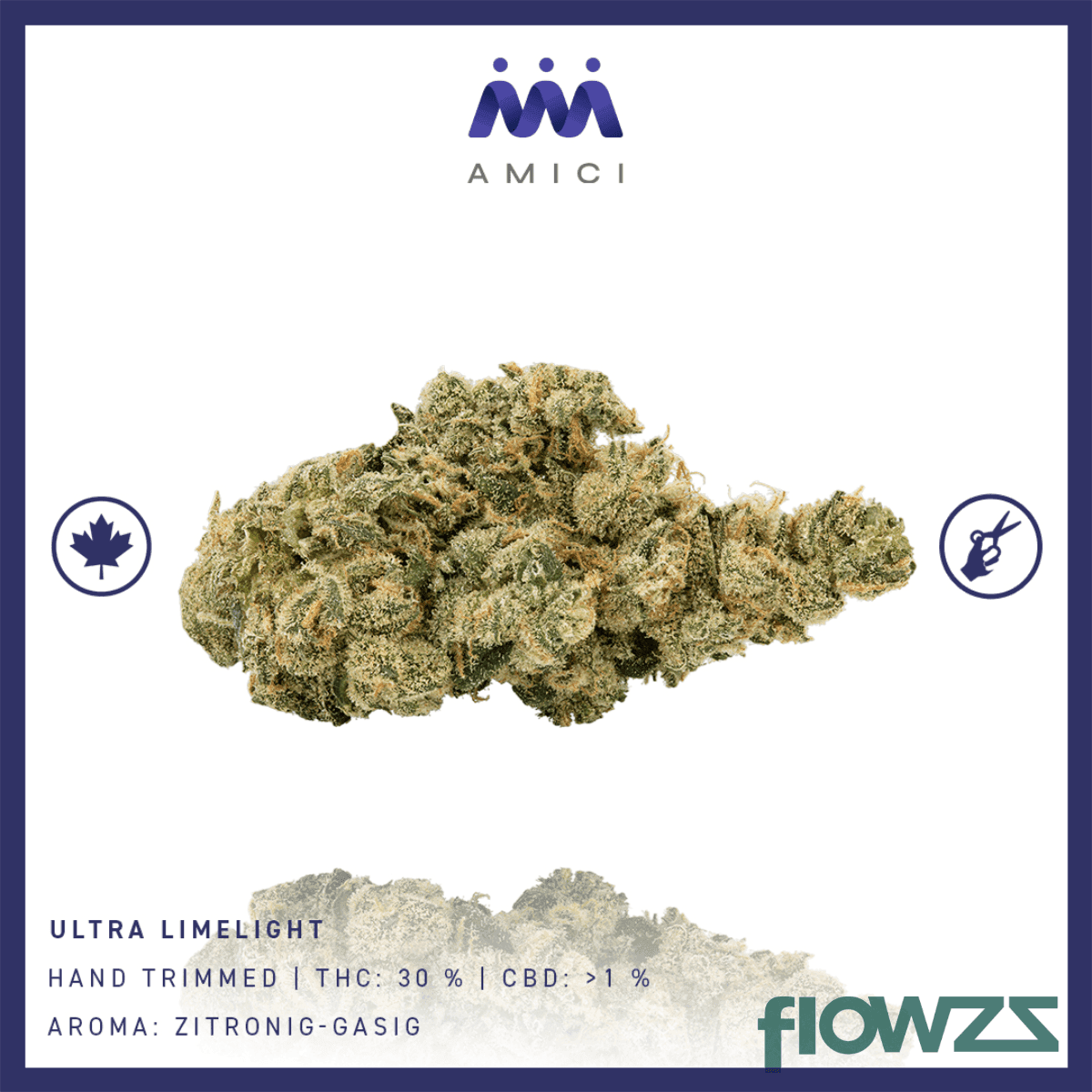 30-1-amici-ul-ultra-limelight