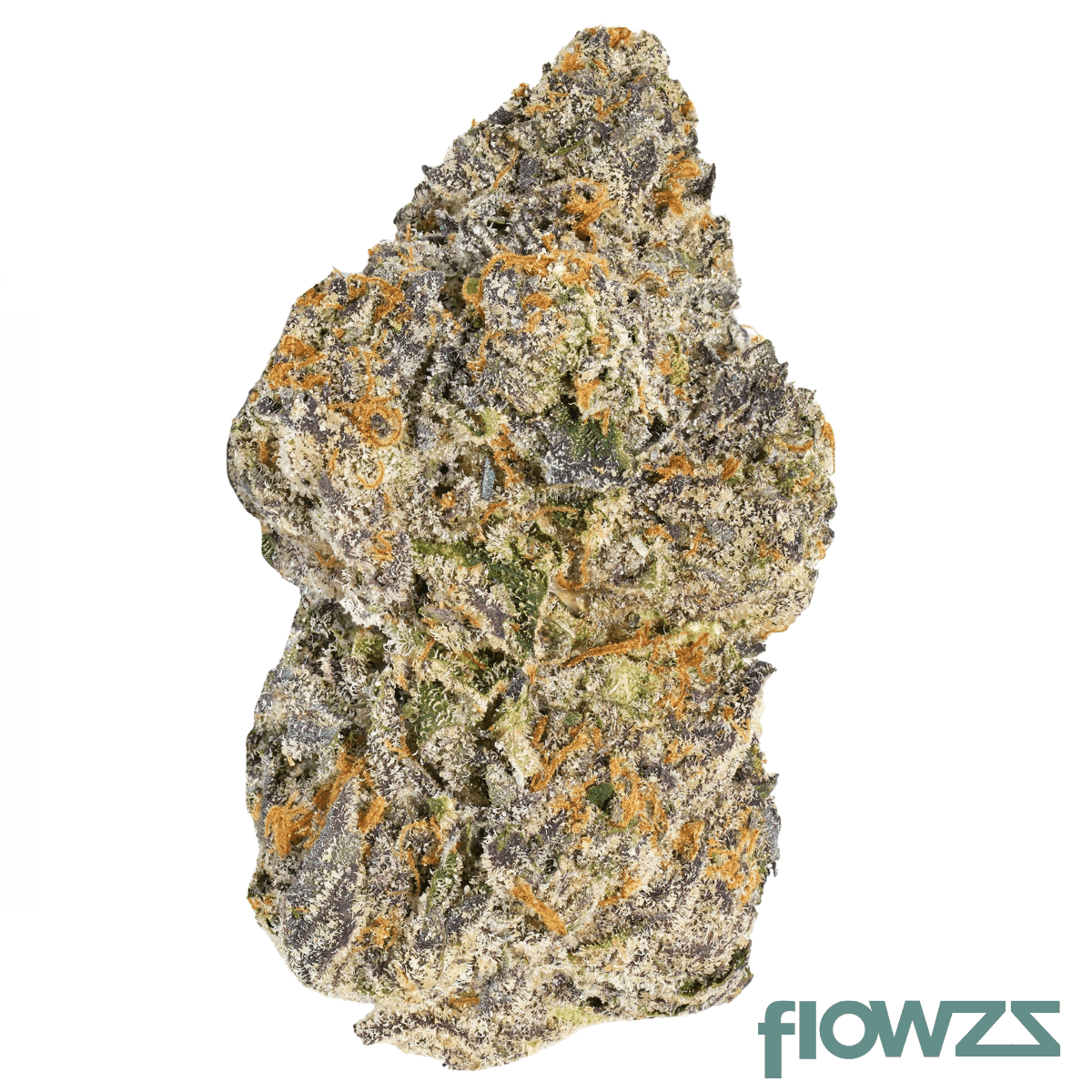 nice-22-1-gua-grandi-guava