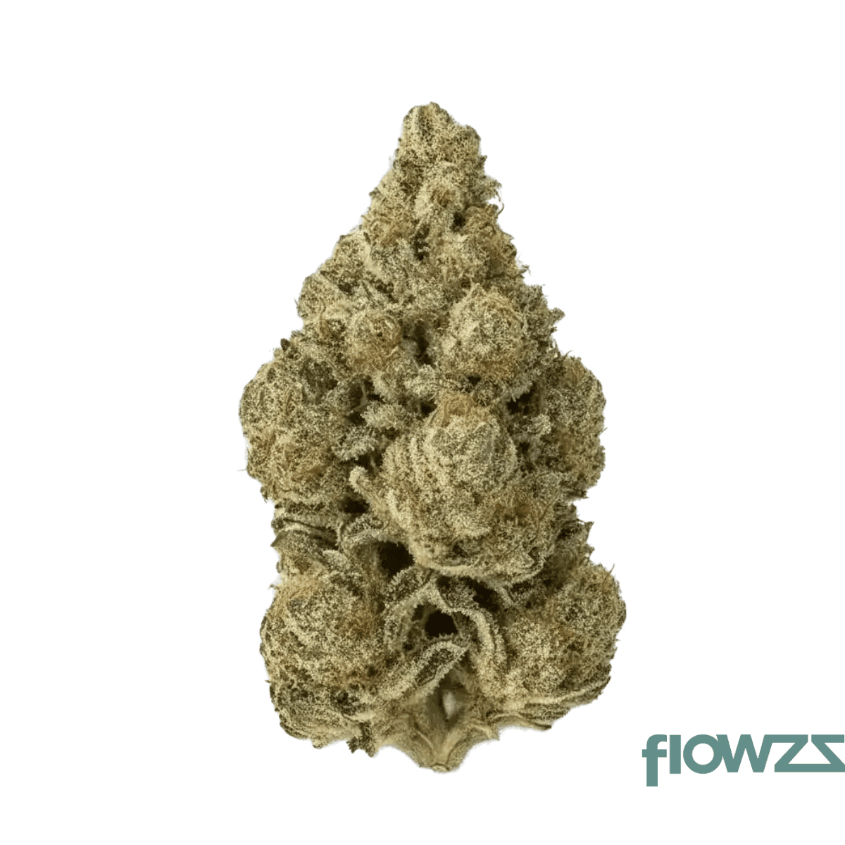 remexian-30-1-bpu-thr-thunderrot