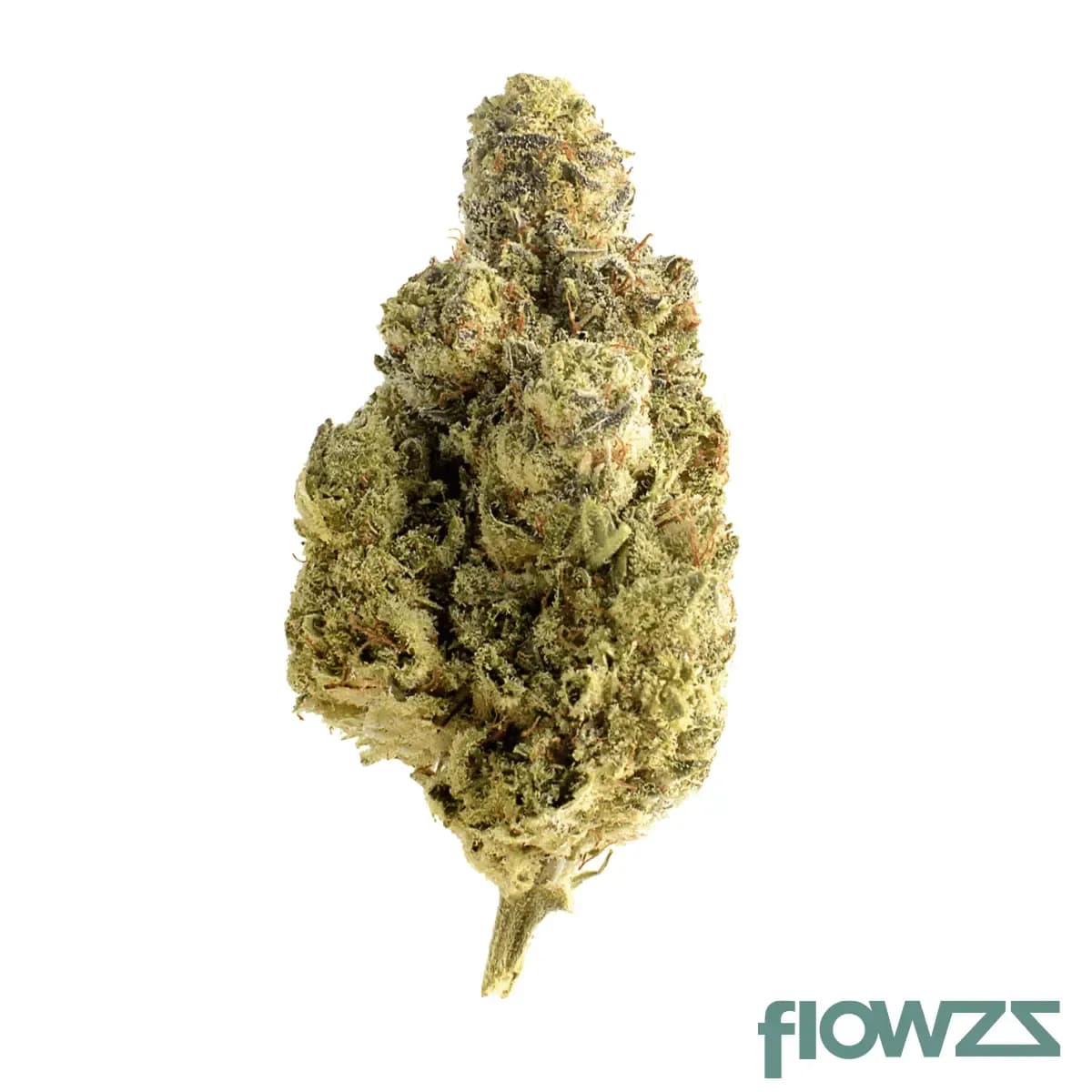 slouu-25-1-ps3-ca-ogk-og-kush
