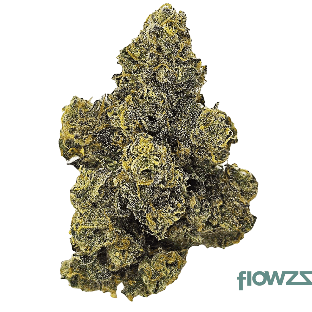 remexian-24-1-hcc-plt-purple-toque