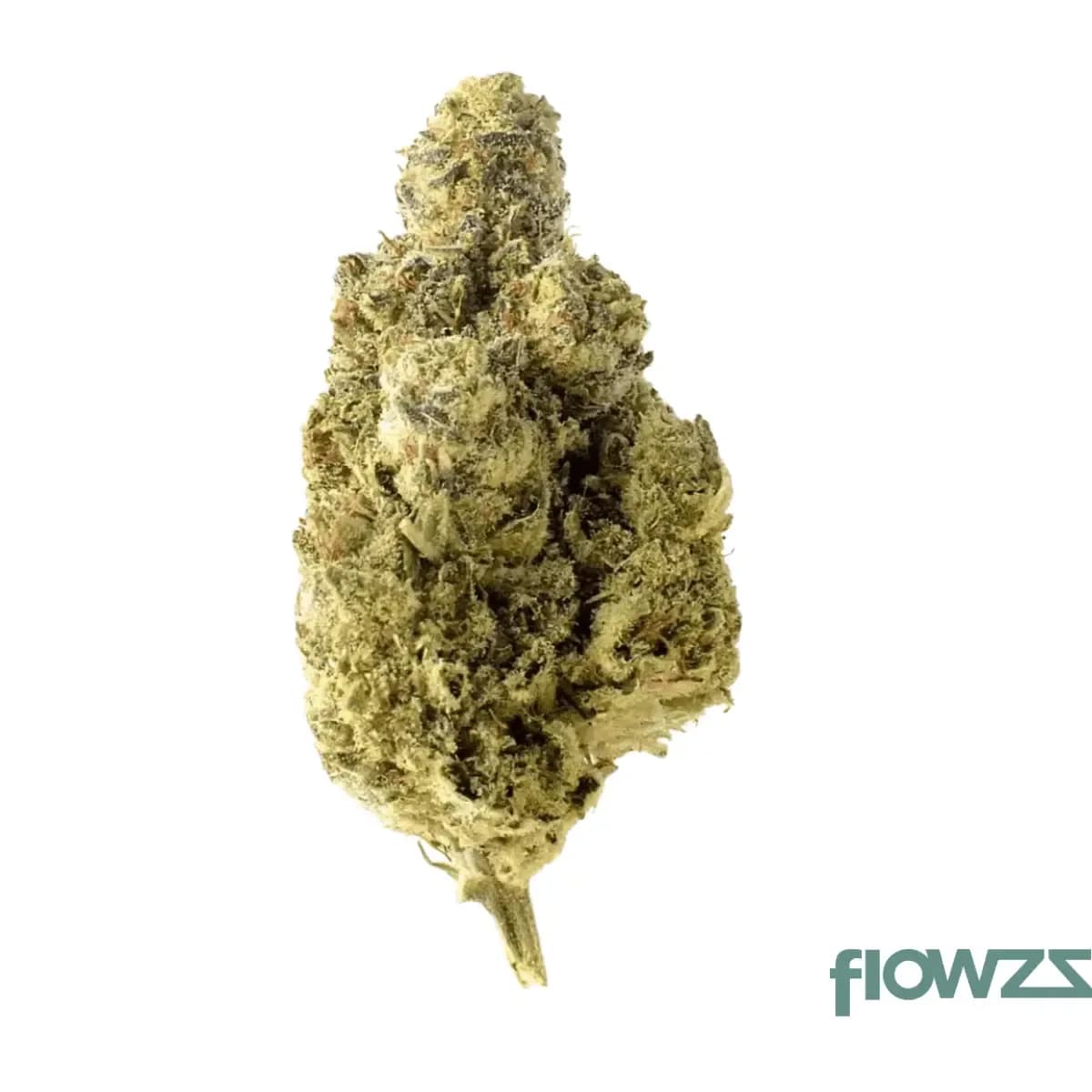 imc-gmo-thc22-token-purple-malawi