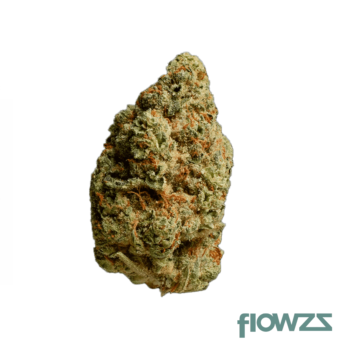 medical-saints-21-1-pno-pierre-noir