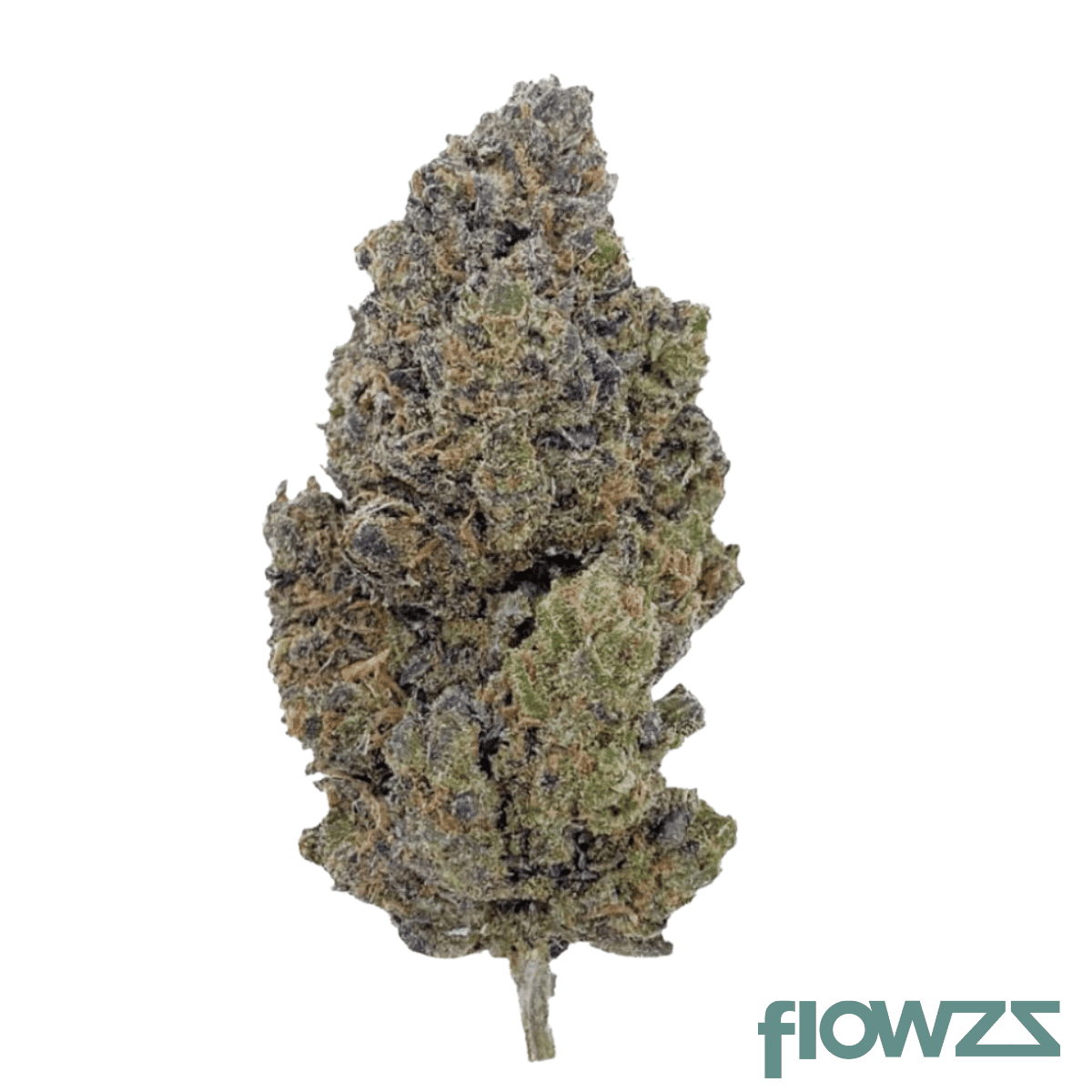 together-pharma-wc-25-1-wedding-cake