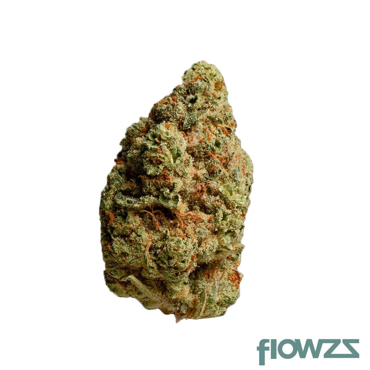 medical-saints-21-1-rbo-ad-rainbow