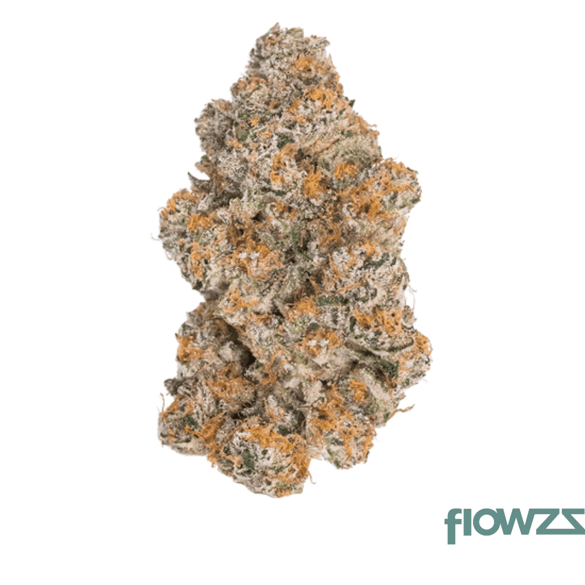 luana-16-1-durban-poison