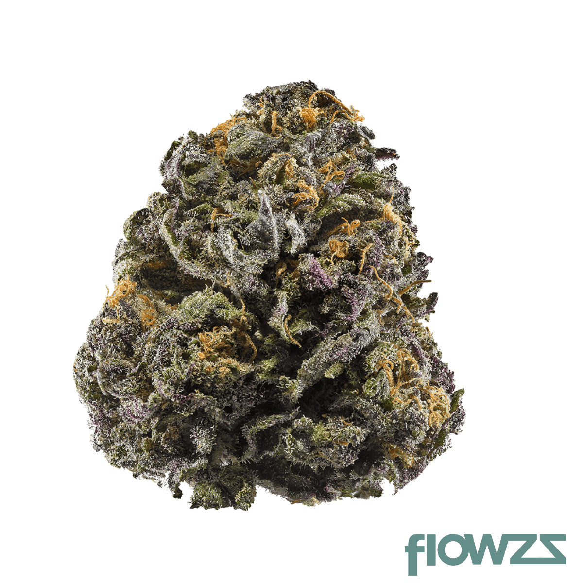 medical-saints-18-1-cta-ceremony-tart-c