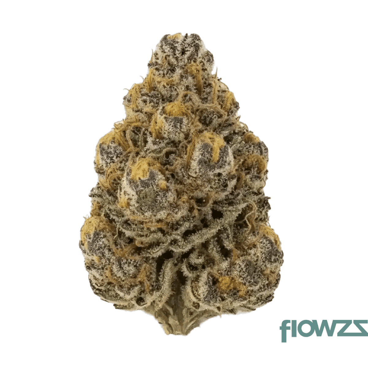 cannamedical-cm-28-1-craft-lotus