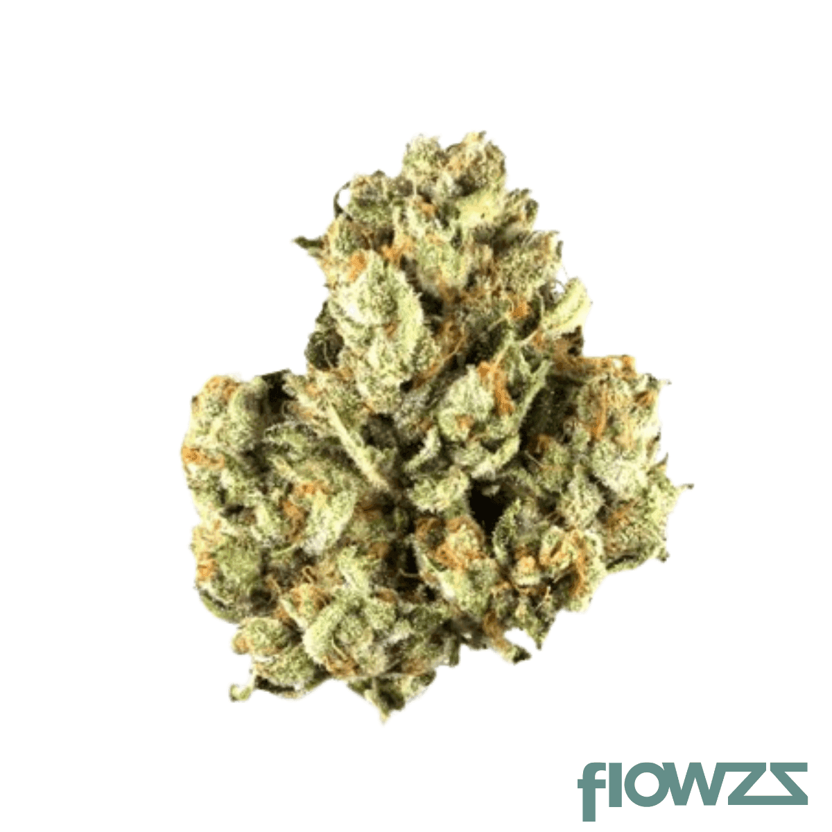 eufloria-30-1-bac-banana-cake