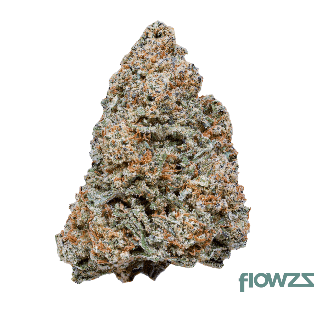 sinceritas-sativa-auris-27-1-cm-cosmic-mac