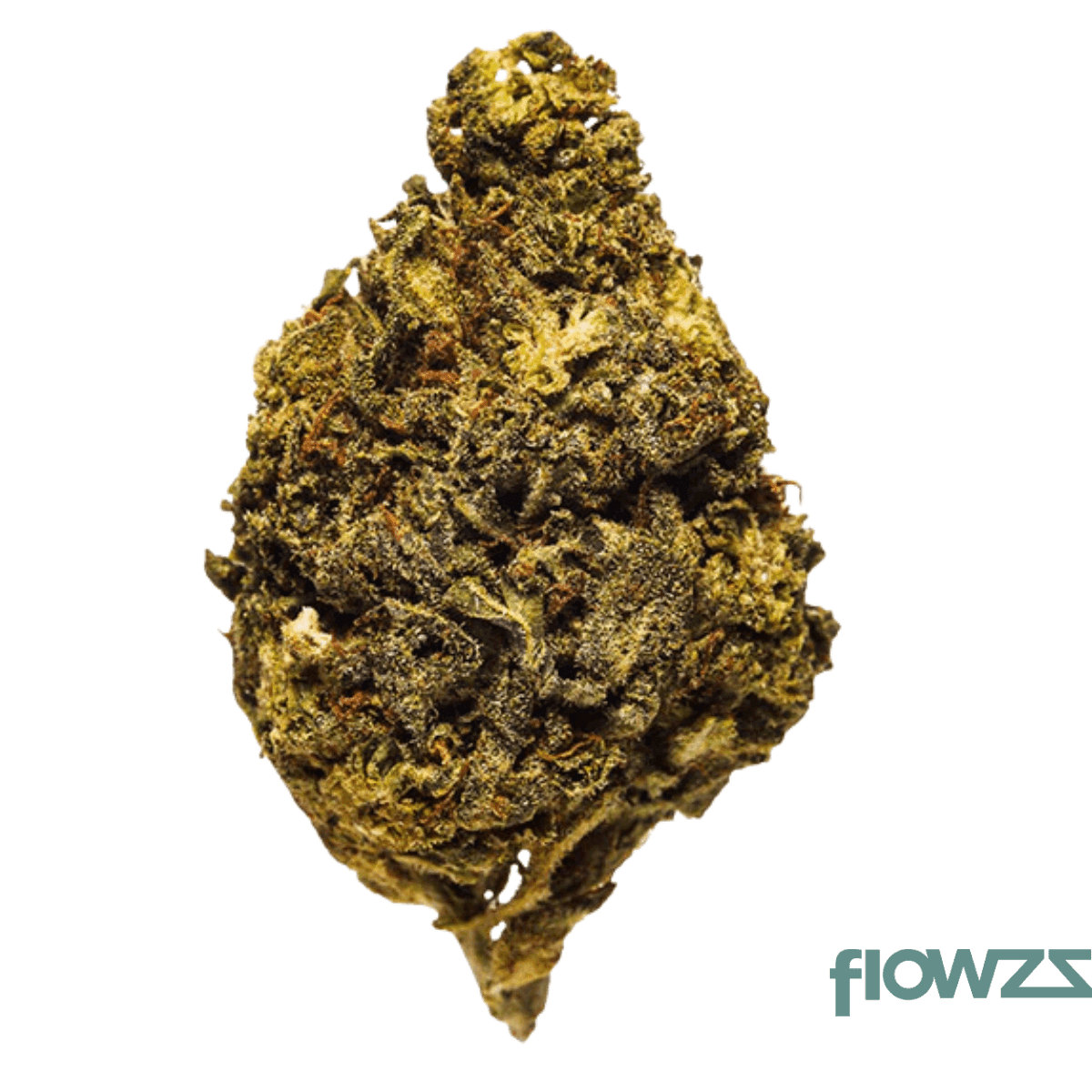 avant-gpe-24-1-georgia-pie