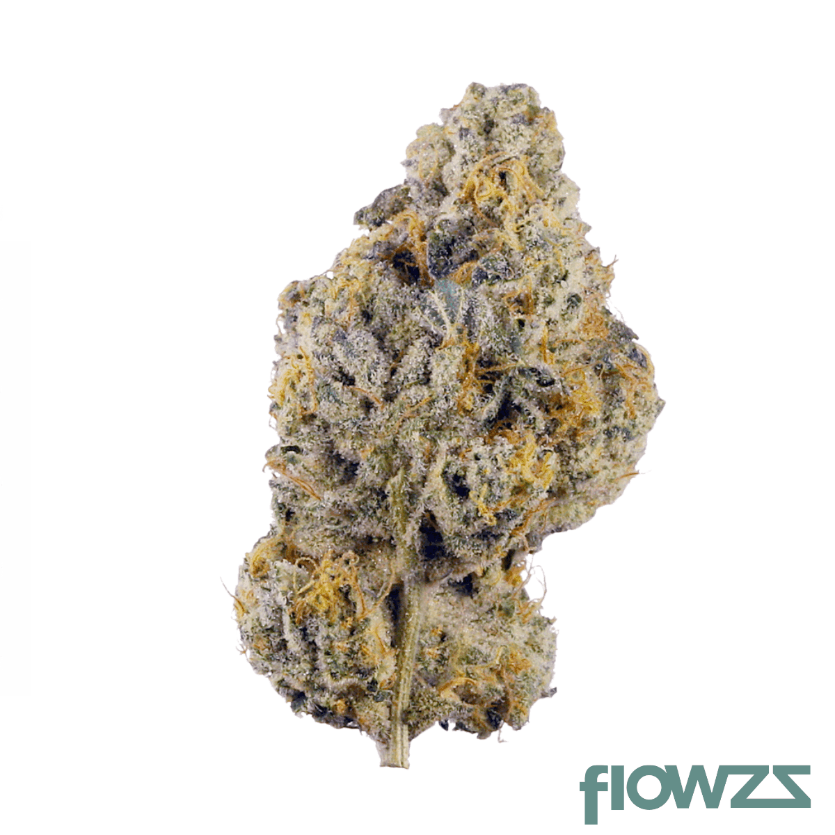 enua-25-1-wpp-pt-wedding-pop