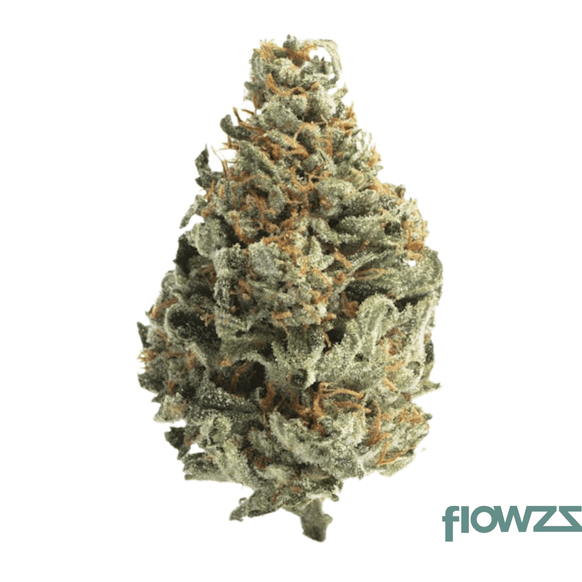 remexian-20-1-hcc-alp-afterlight-premiere