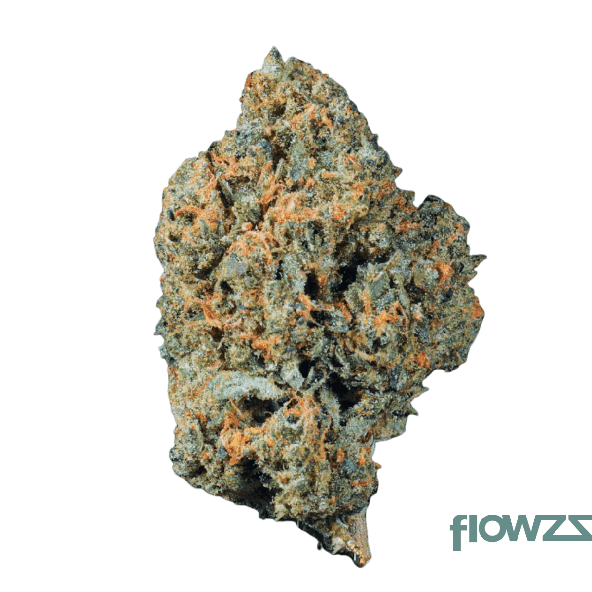 26-1-amici-pki-pink-kitty