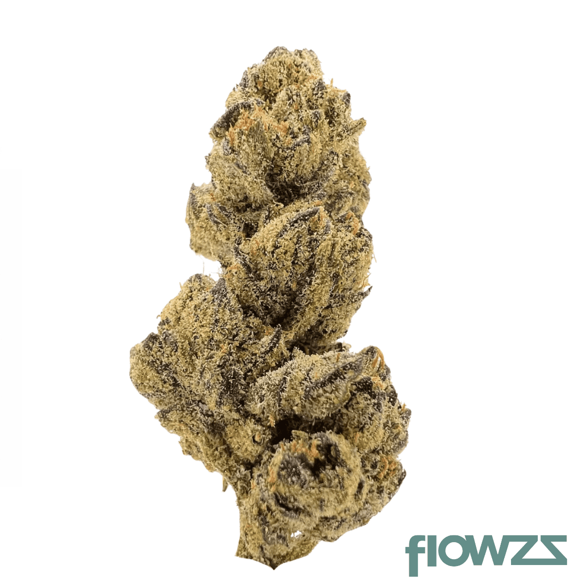 420-evolution-33-1-ca-pla-platinum-kush