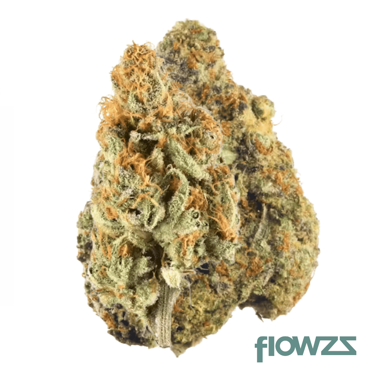 medical-saints-21-1-vos-volcano-surge