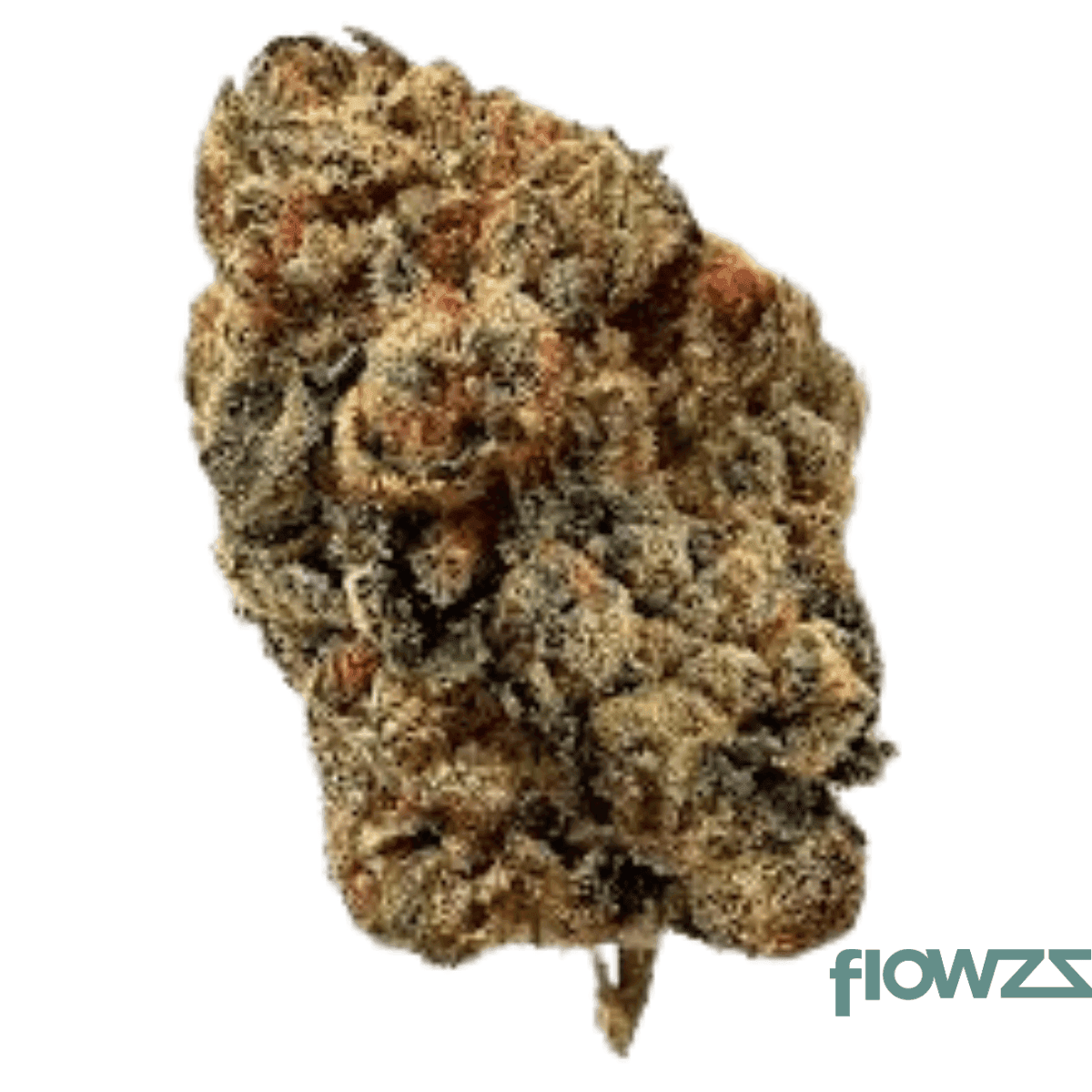 good-supply-t25-mmk-master-mazar-kush