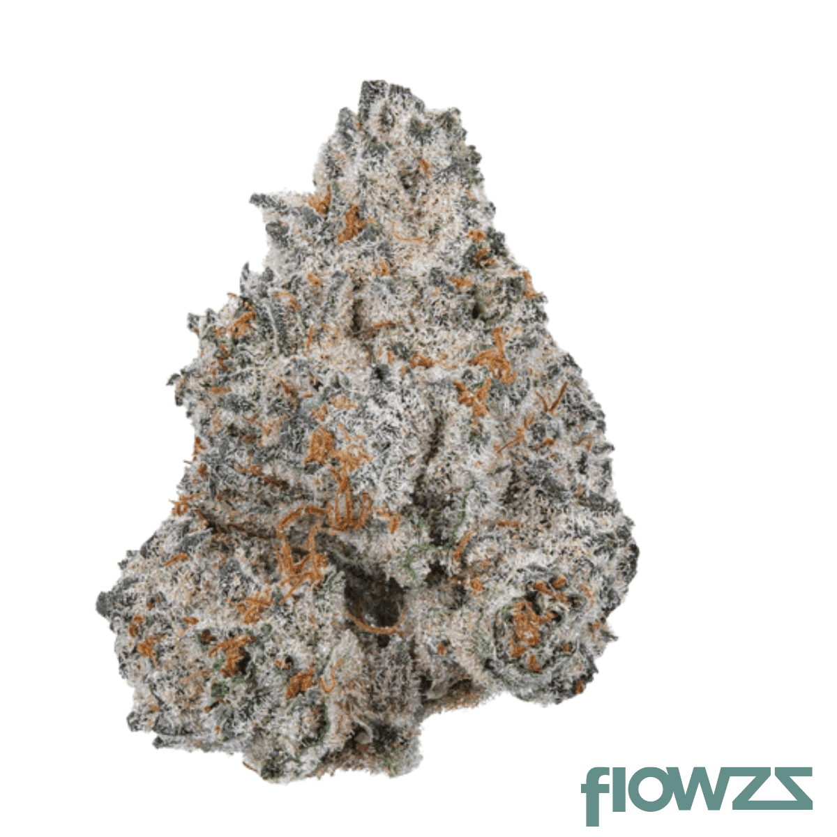 drwatson-26-wi-aus-white-inversion