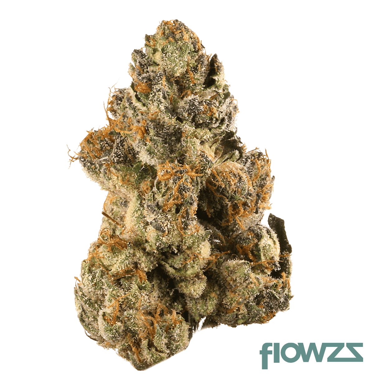 eufloria-30-1-rcc-runtz-coffin-candy