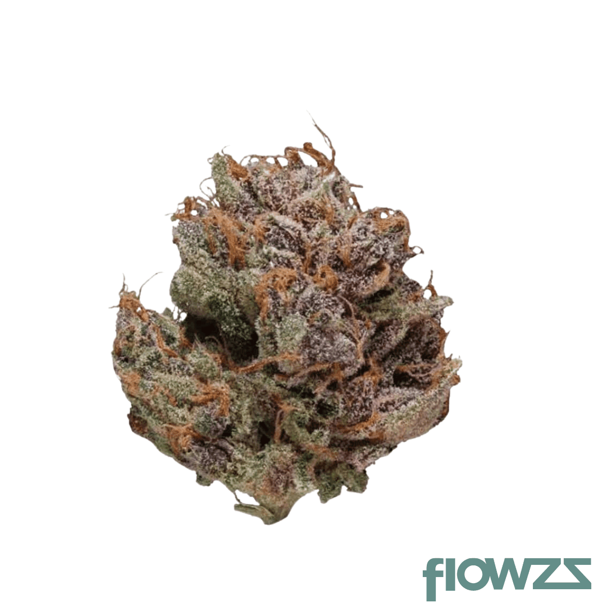 enua-27-1-ps3-baked-animal