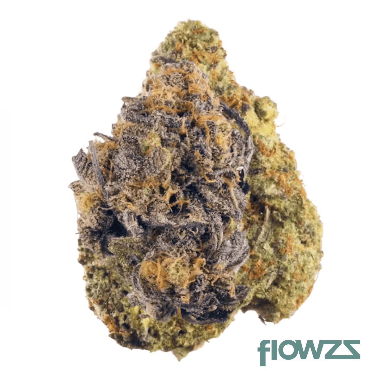 medical-saints-21-1-vru-violet-rush