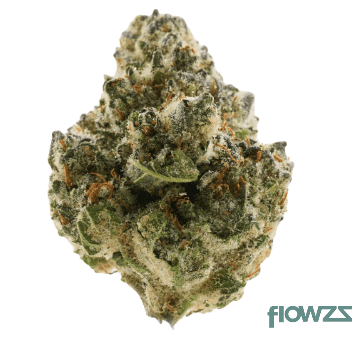 30-1-amici-bp-blue-pave