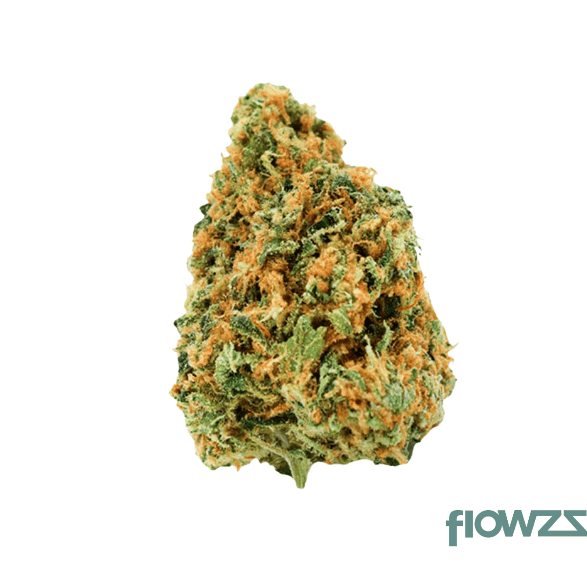 nimbus-easy-22-1-warp-drive