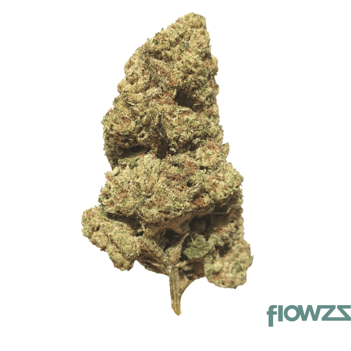 remexian-21-1-trf-icw-ice-cream-wizard