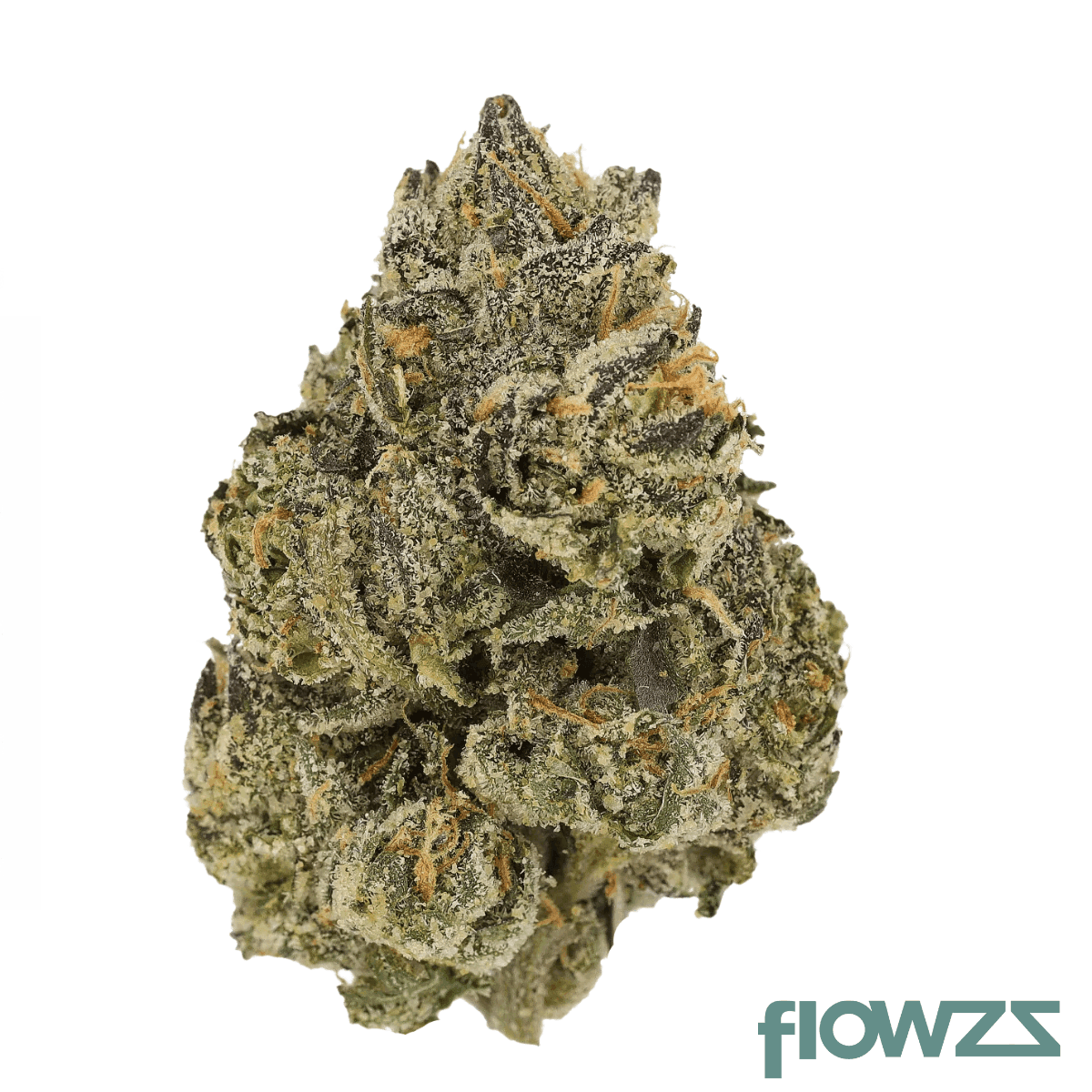 barongo-28-1-trd-rainbow-pie