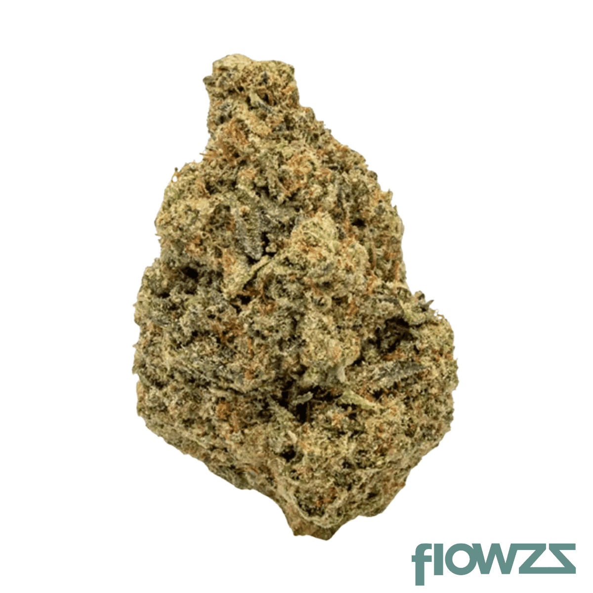 enua-22-1-fd-pt-forbidden-dream