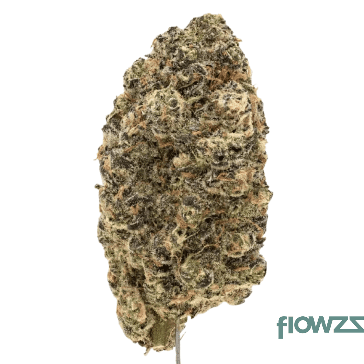 420-evolution-27-1-ca-cap-cap-junky