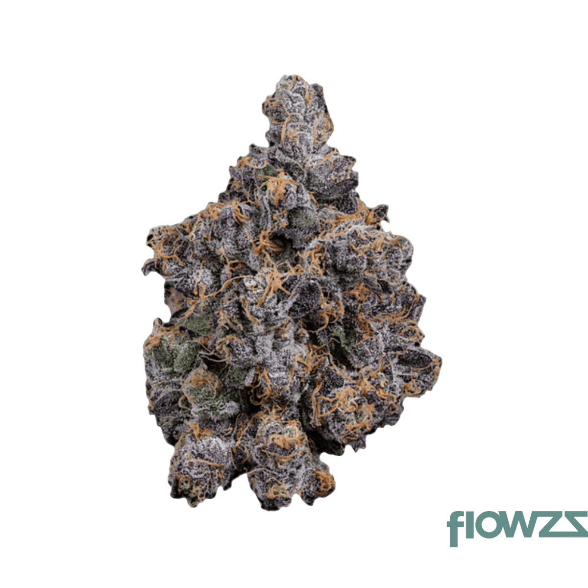 Remexian-21-1-trf-buh-burning-hat