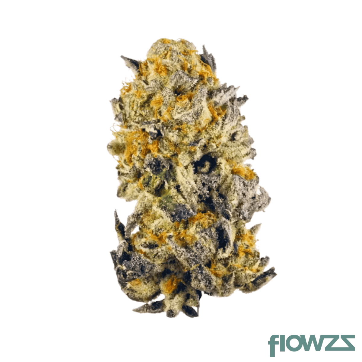 petit-vert-24-1-gte-kco-kush-cookies