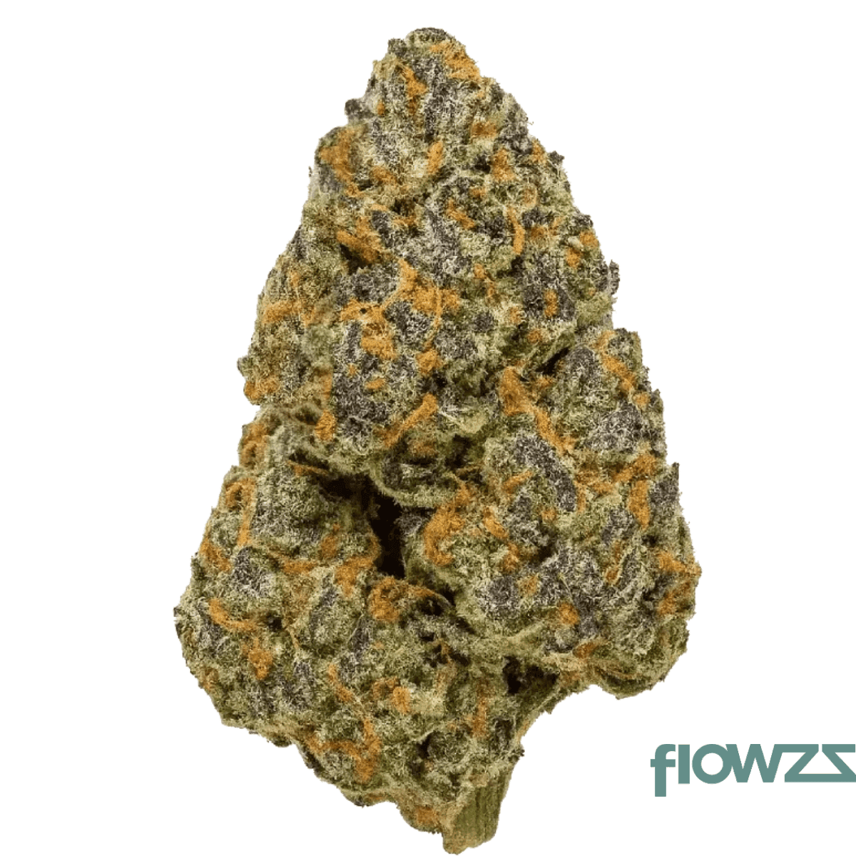 redecan-thc-30-brz-biscuit-rntz