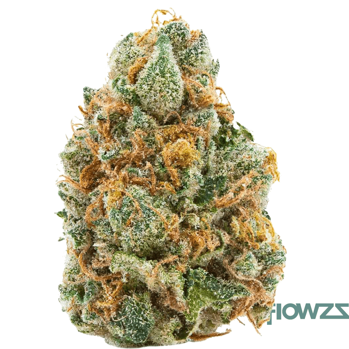 imc-tr7-thc25-banana-tsunami