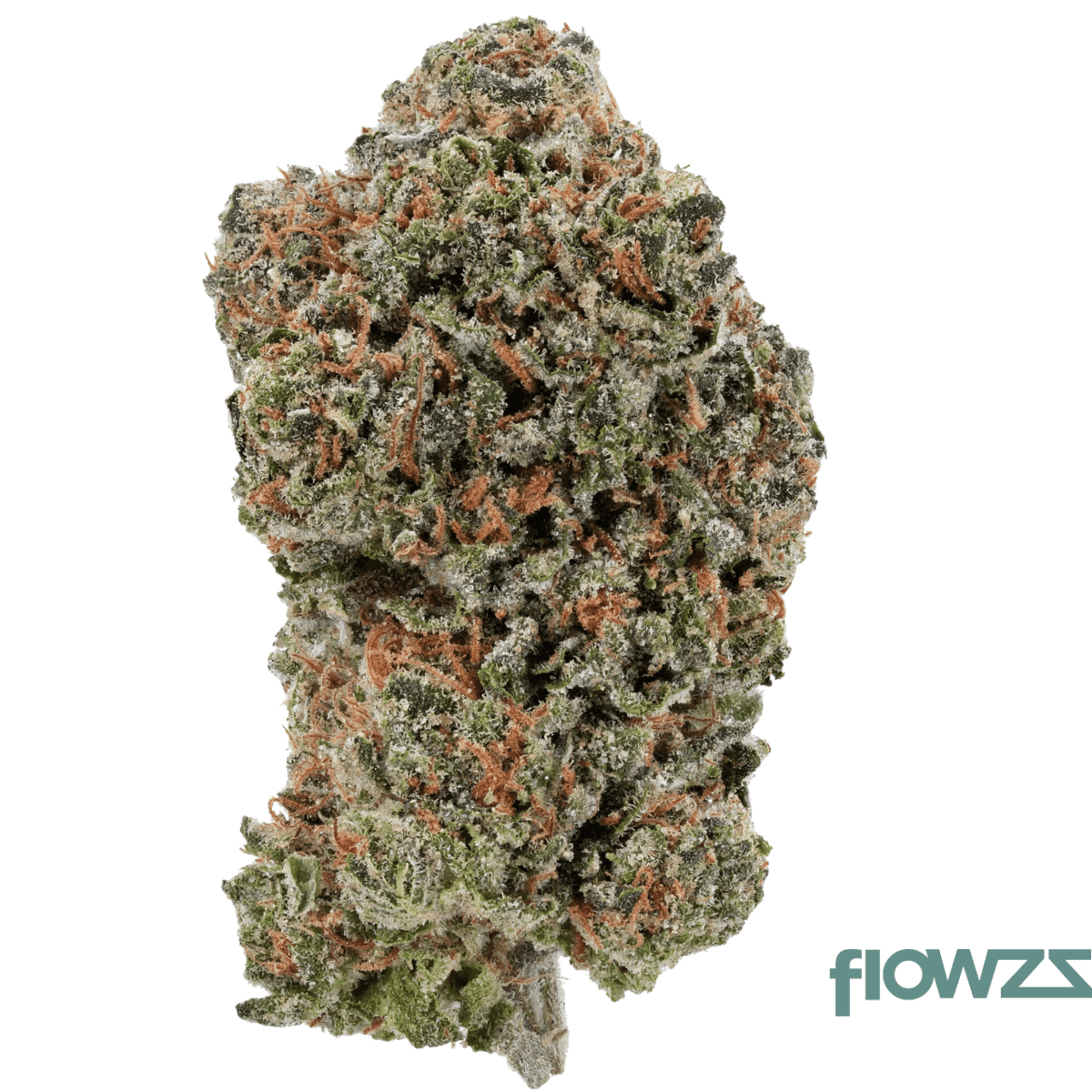 IMC BM THC26 Selected Neville's Skunk