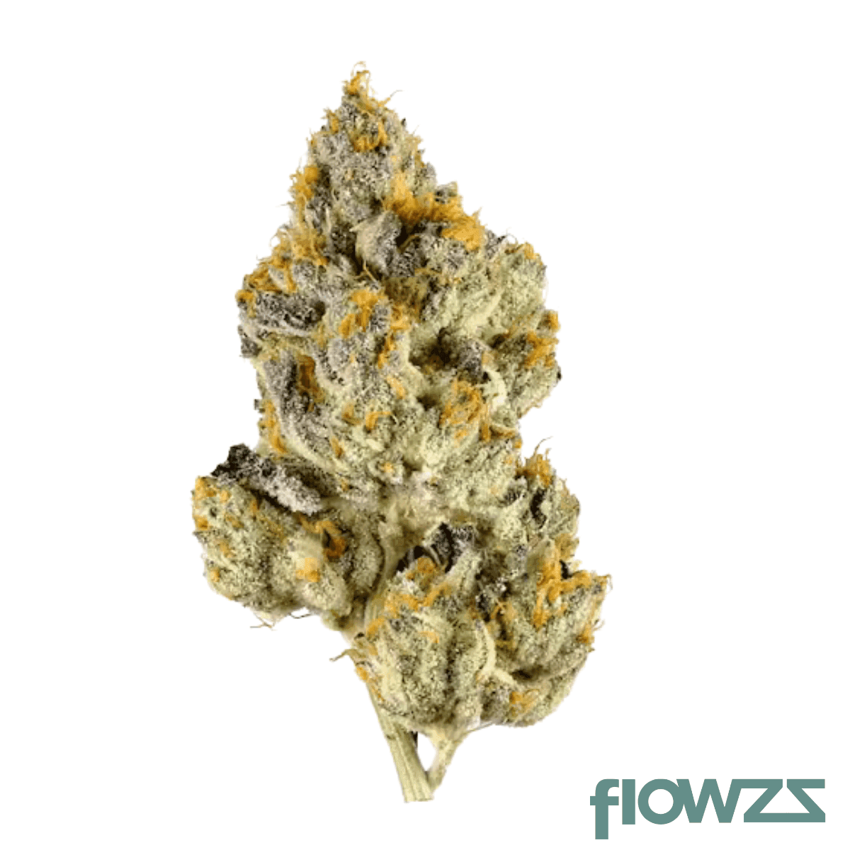 materia-ffc-25-1-frosted-fruit-cake