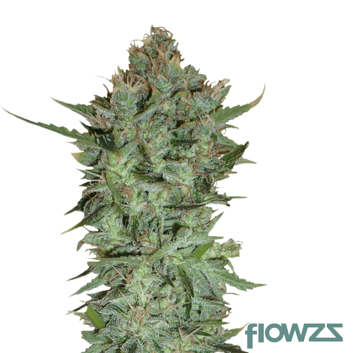 g13-ultra