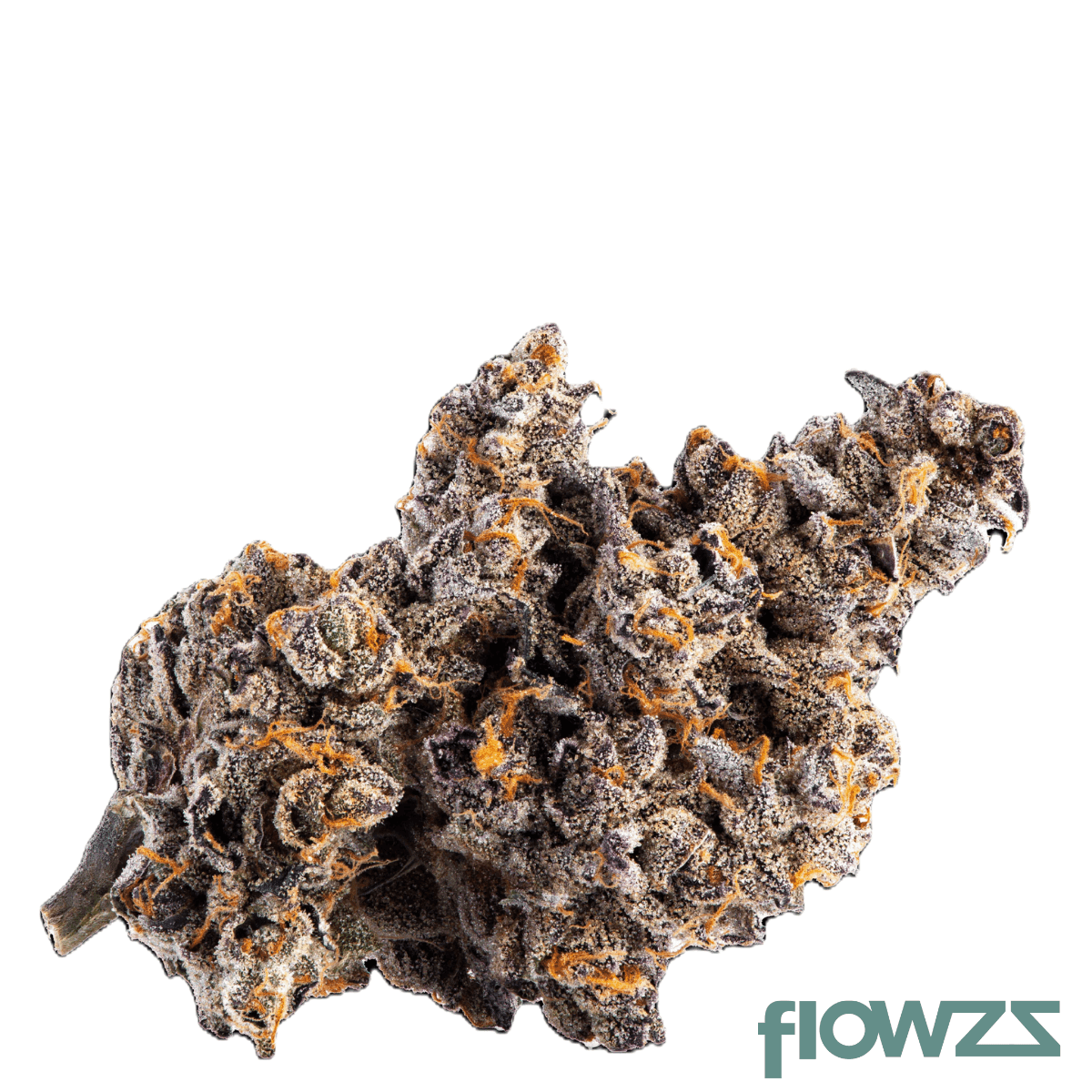 NICE 18/1 GE Gelatti