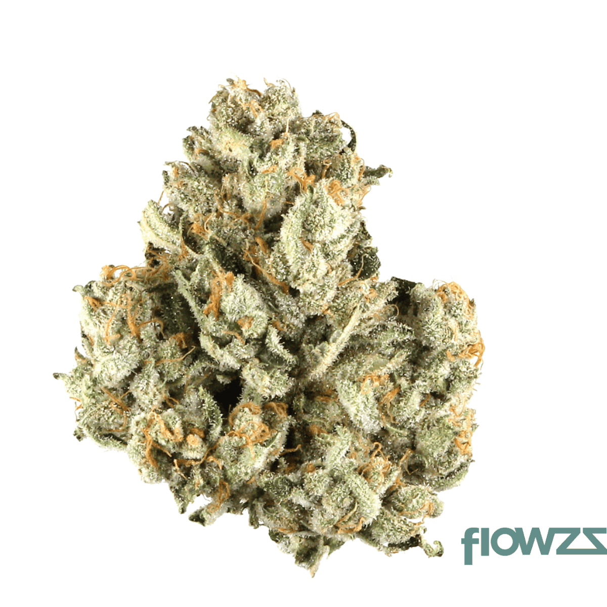 luana-18-1-dgv-dougs-varin