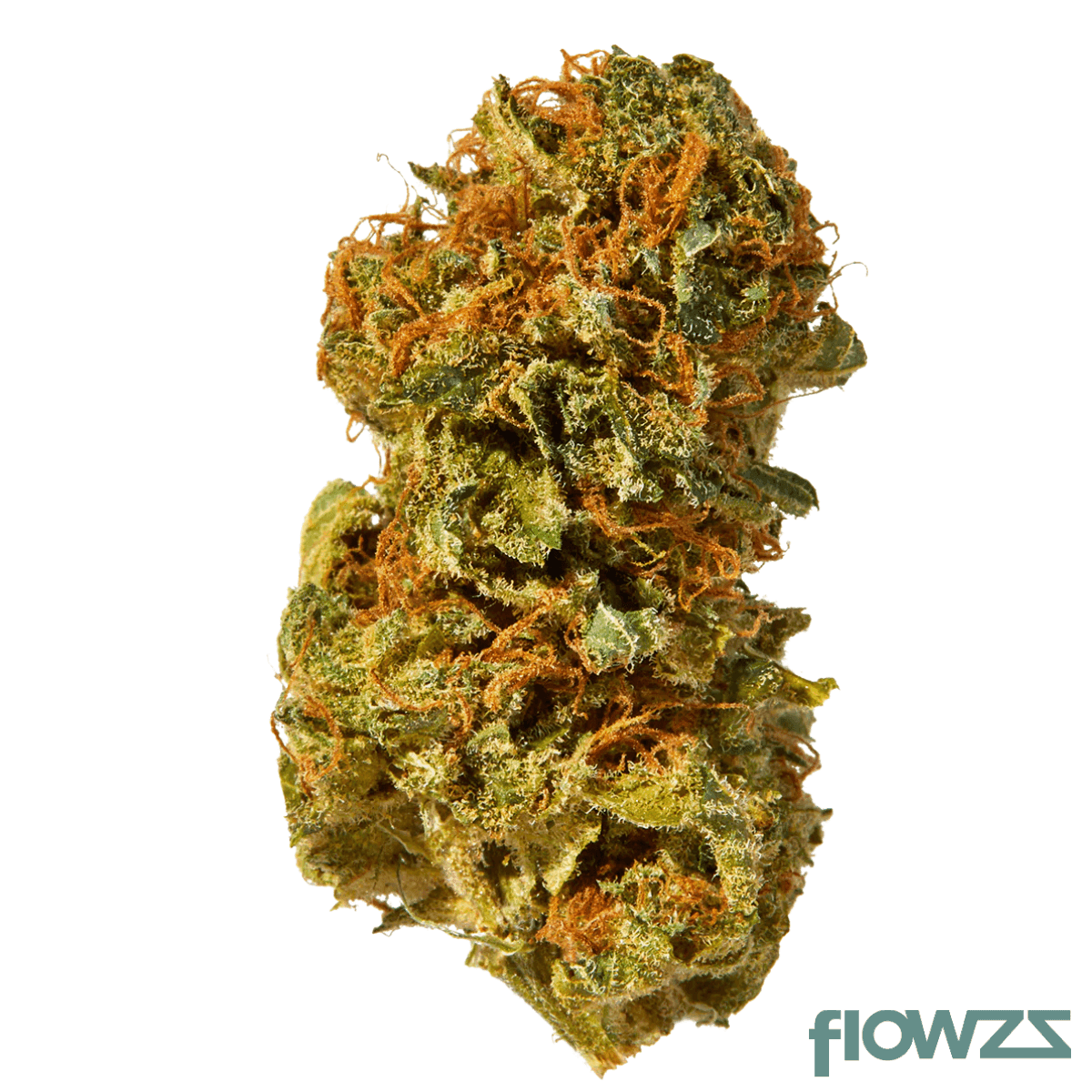 remexian-18-1-all-ntl-northern-lights