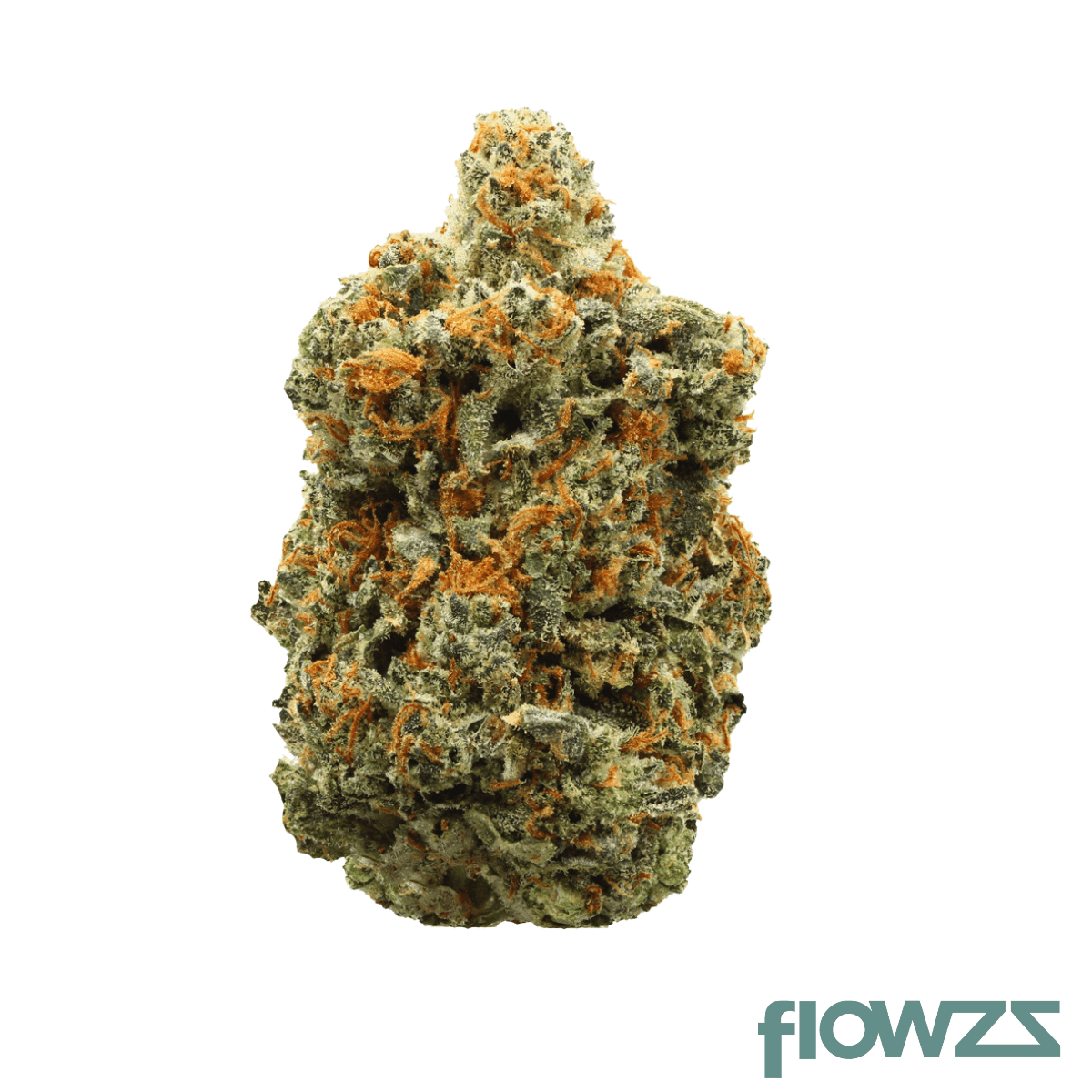 herbasana-medellin-midnight-22-01-el-patron