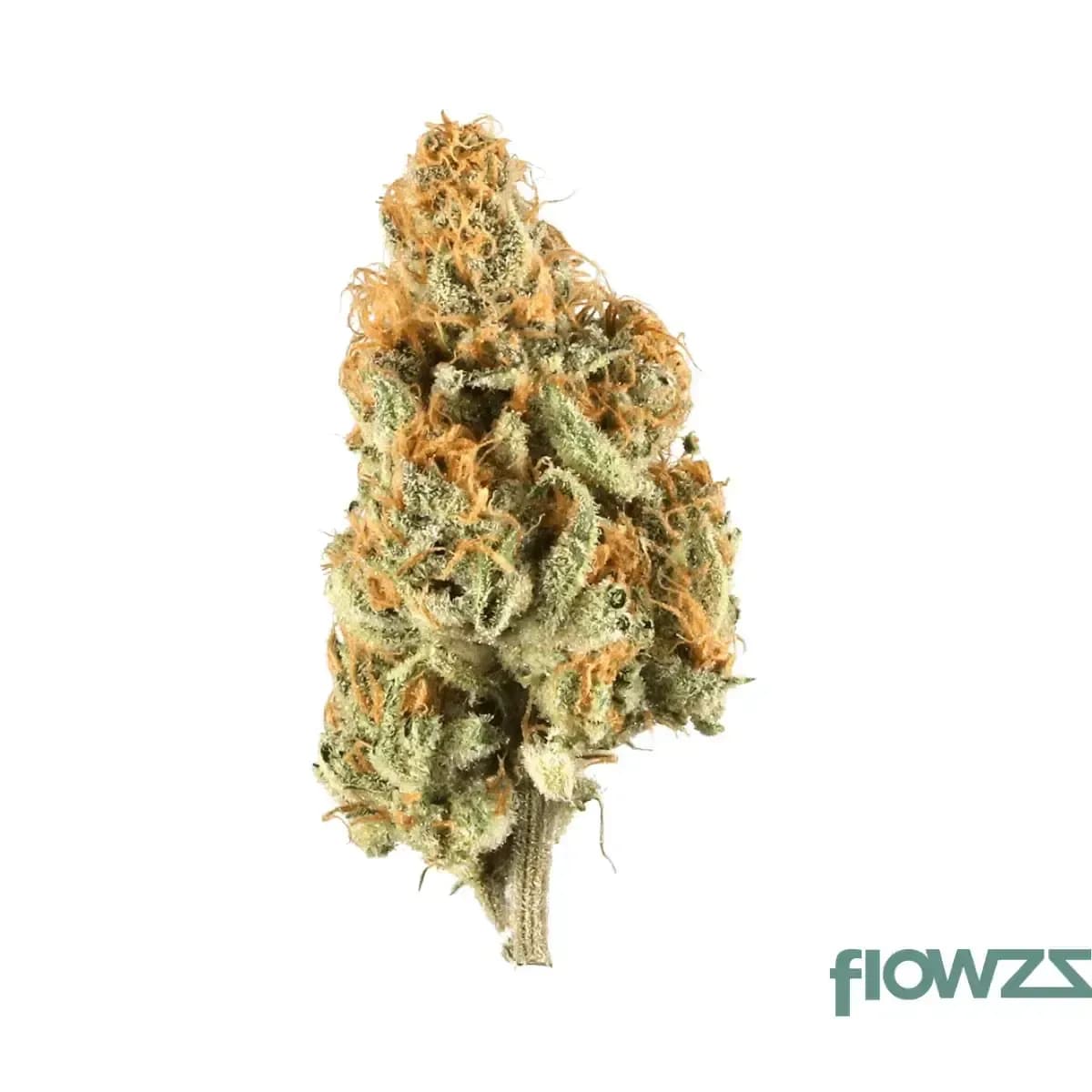 demecan-epic-drop-citron-cookies-x-biker-kush