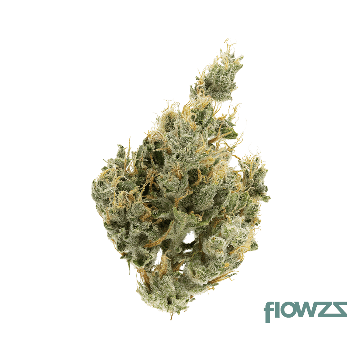 eufloria-27-1-msh-moonshine