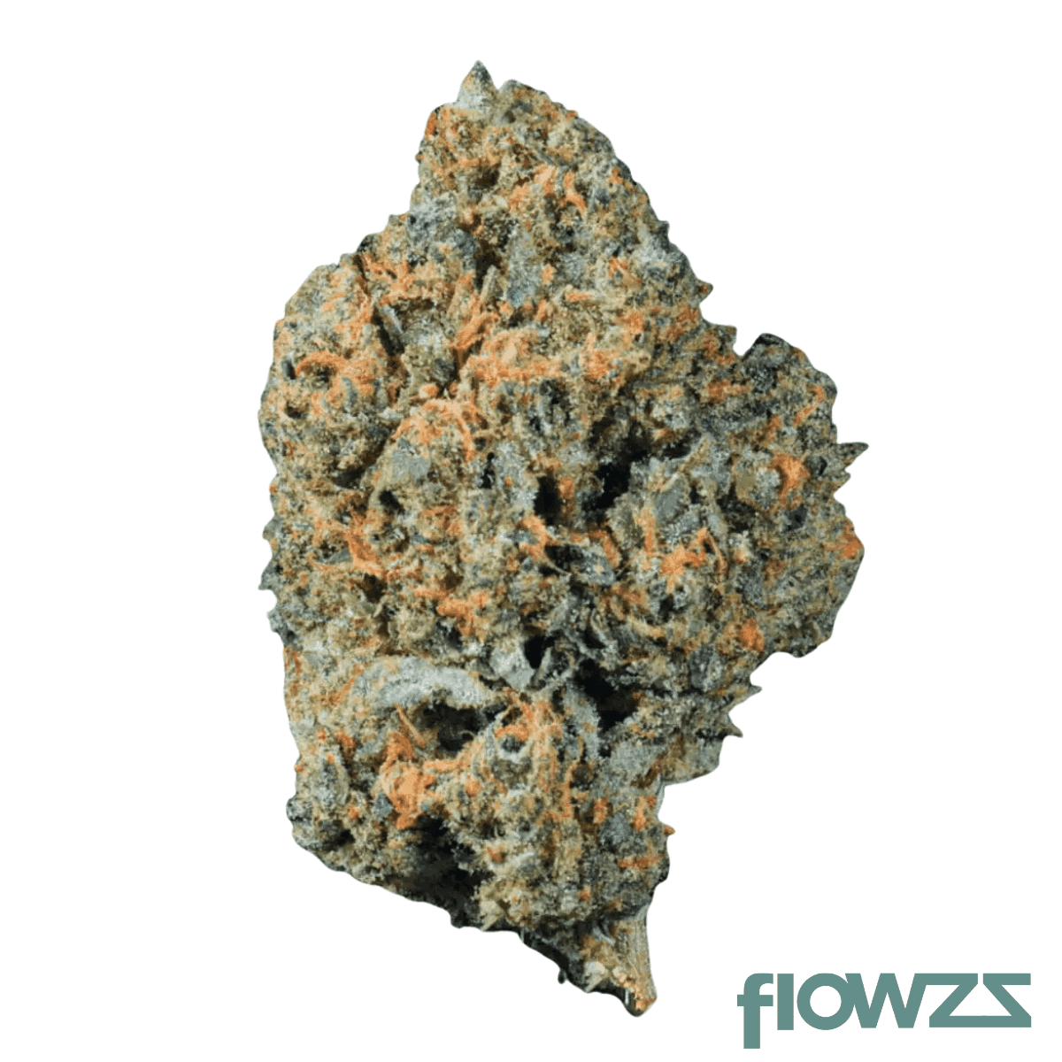 24-1-amici-pki-pink-kitty